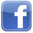 fb_fin